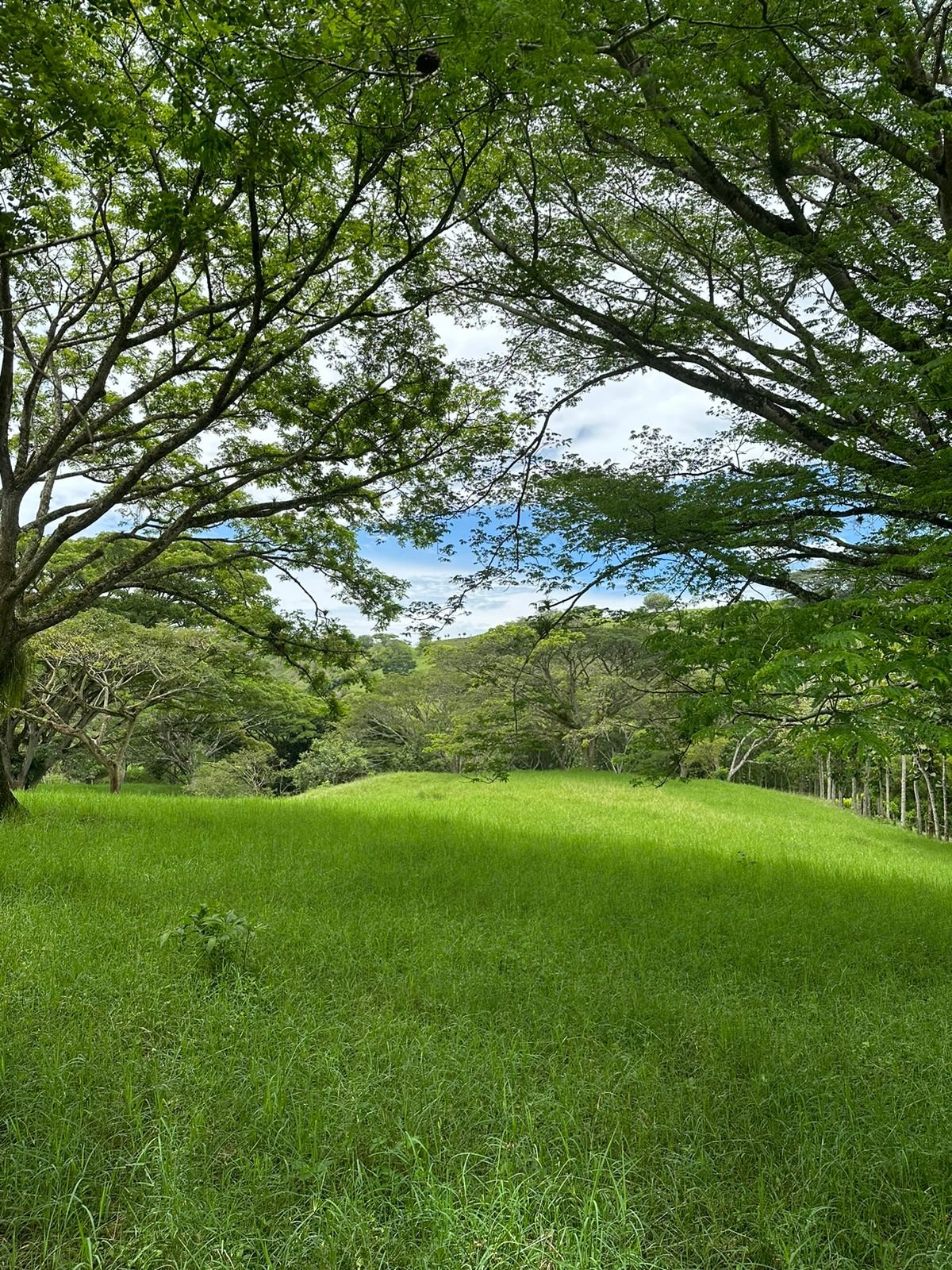 PHOTO-2023-04-17-12-40-21